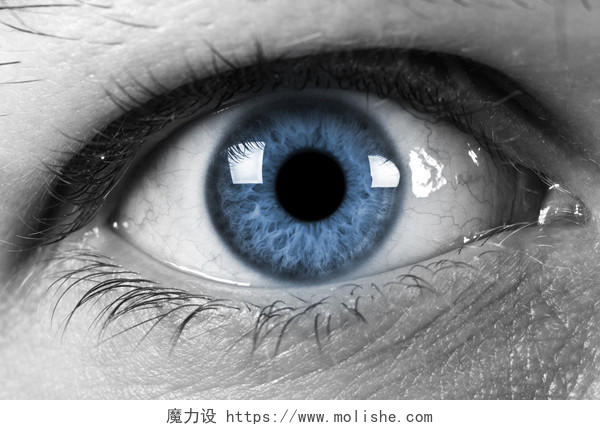 眼睛特写灰白色蓝色瞳孔人物睁开的眼睛特写图片